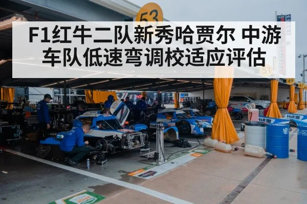 F1红牛二队新秀哈贾尔 中游车队低速弯调校适应评估